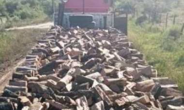 Chepes: malestar por el aumento en la guía de leña dispuesto por la secretaria de medio ambiente de la provincia