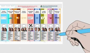 Elecciones 2025: lo que hay que saber sobre las votaciones concurrentes