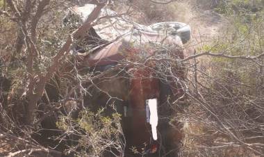 Vuelco de un automóvil en Ruta Provincial 28 deja a dos ocupantes trasladados para atención médica