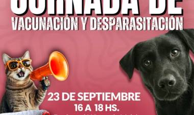 Chepes: Jornada de Vacunación y Desparasitación en los lotes con servicios