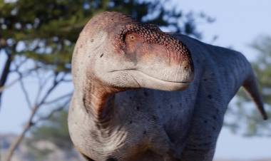 Descubren en La Rioja una nueva especie de dinosaurio carnívoro: el Vitosaura