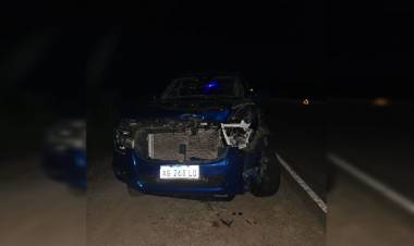 Pareja catamarqueña resultó ilesa tras chocar con una vaca en Ruta Provincial N° 9
