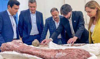 La Rioja presentó una investigación sobre dinosaurios publicada en Nature y que recorre el mundo