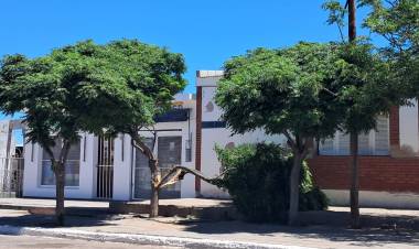 Se desplomó parte de un árbol sobre la vereda de la sede del Club Sportivo Belgrano en Chepes