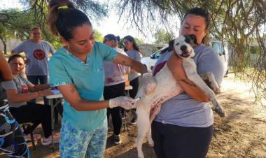 Cuidado Responsable: Más de cuarenta mascotas vacunadas contra la rabia