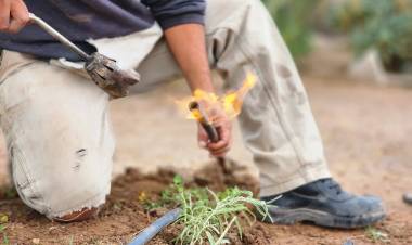 Gestión activa frente a la emergencia climática: mejoras en la red de agua en toda la ciudad