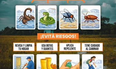 Tras el temporal, Salud emitió recomendaciones para prevenir riesgos en el hogar