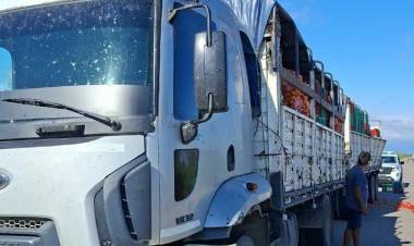 Camión perdió parte de su carga de tomates tras esquivar un bache en Ruta 141