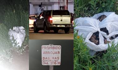 Indignación: Comerciante local es captado arrojando basura en el predio del ferrocarril