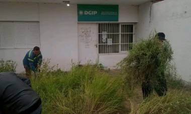 El poder de la comunidad: Vecinos de Chepess se unieron para limpiar el predio de la DGIP
