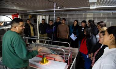 Chepes: Impulso productivo en Cerdo de los Llanos