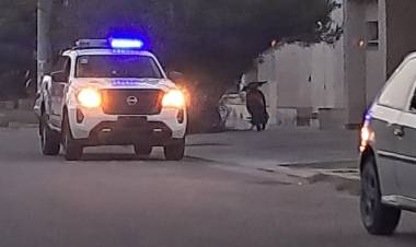 Varios hechos policiales y de tránsito durante el fin de semana en Chepes