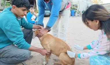  Chepes: realizaron jornada de vacunación y desparasitación en Chelcos y zonas aledañas