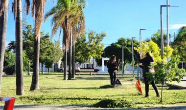 Mantenimiento y cuidado de nuestros espacios verdes