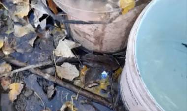 Se registraron las primeras heladas en las altas cumbres de La Laguna y Sierras de Argañaraz
