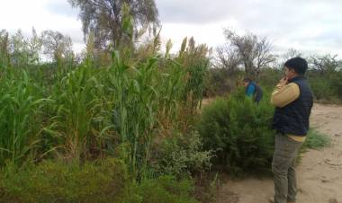 Más producción, más infraestructura y más acompañamiento para el sector rural