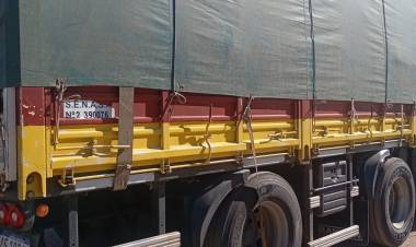 Robaron elementos de un semirremolque cargado con poleo en Chepes