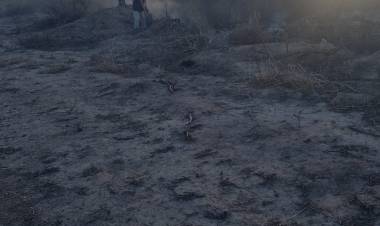 Bomberos, Policía y vecinos lograron contener un incendio forestal en la zona de Chelco