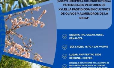 Chepes será sede de una capacitación sobre chicharritas y su impacto en cultivos de olivos y almendros