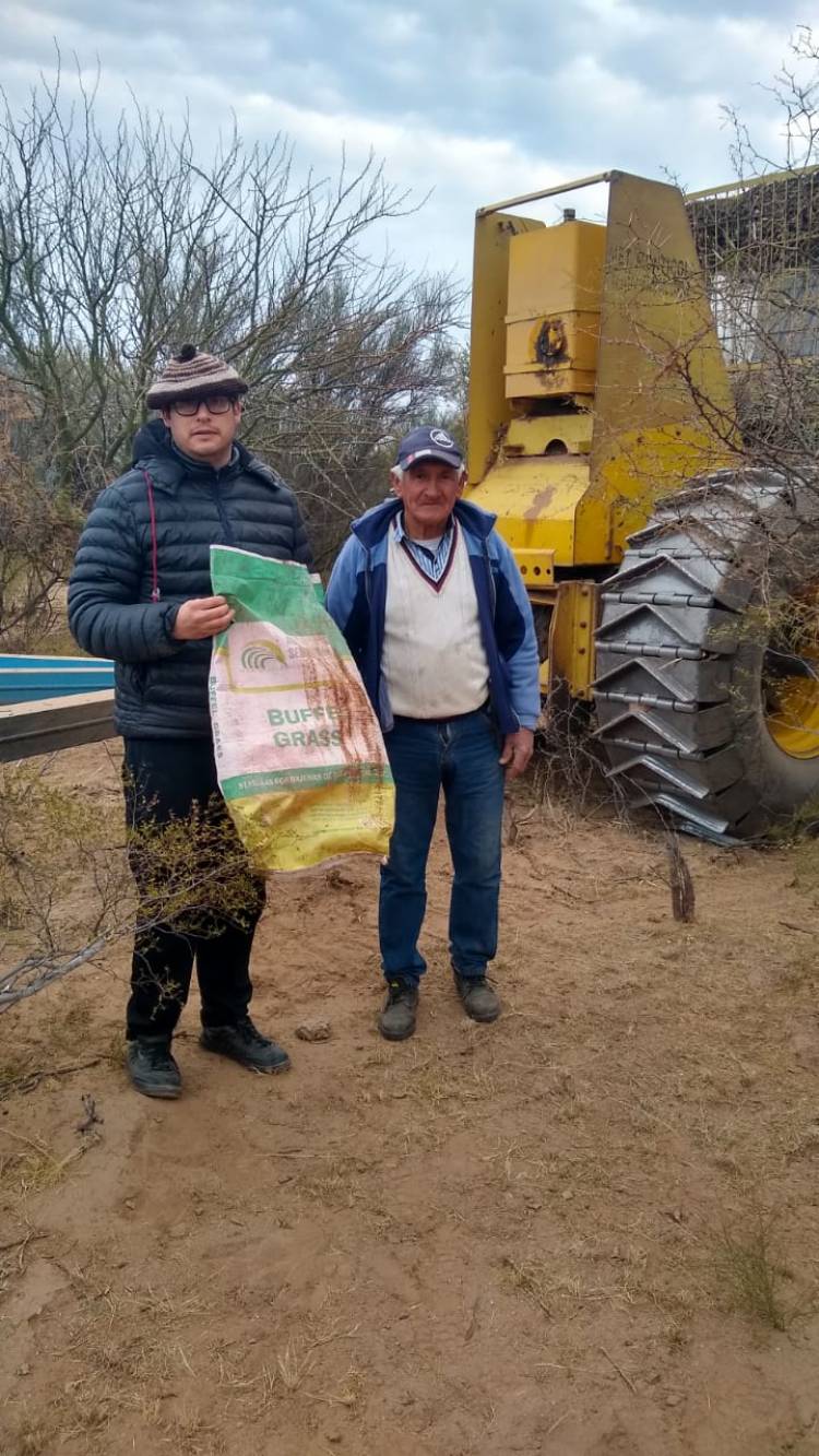 En Zona Sur: Se continúa trabajando con el programa rolado - siembra de buffel grass.