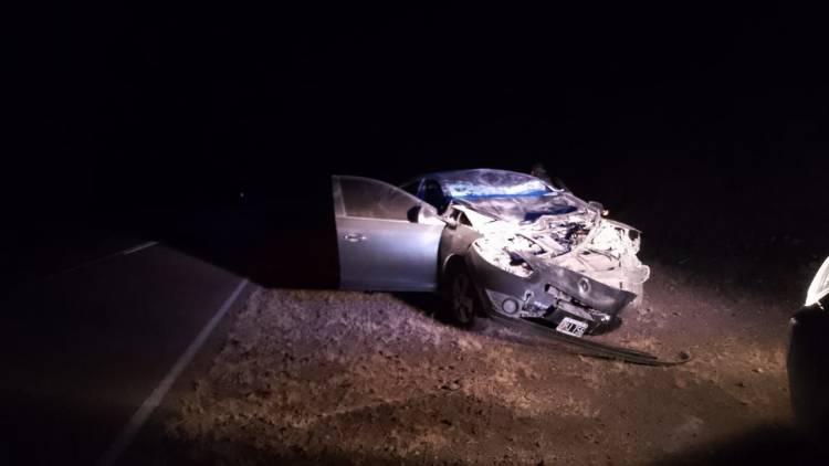 Policías chocaron un animal en la ruta 78: Sufrieron heridas leves.