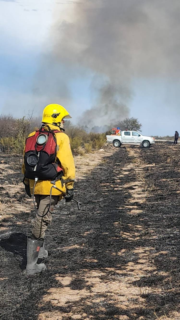 Nuevo incendio en los llanos riojanos, esta vez en cercanias a Desiderio Tello.