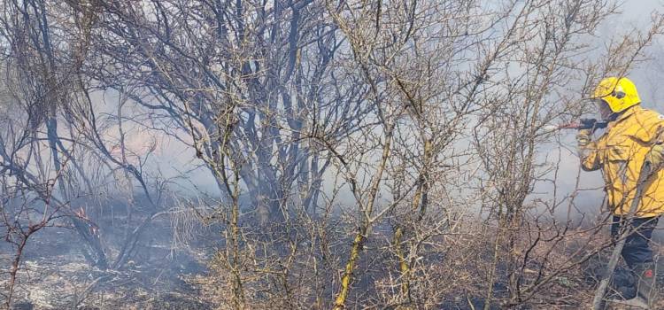 Nuevo incendio en los llanos riojanos, esta vez en cercanias a Desiderio Tello.