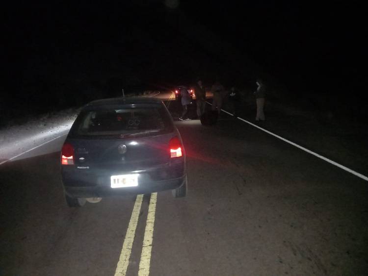 Chepes: Vehículo impacta contra animal vacuno camino a Chepes Viejo.