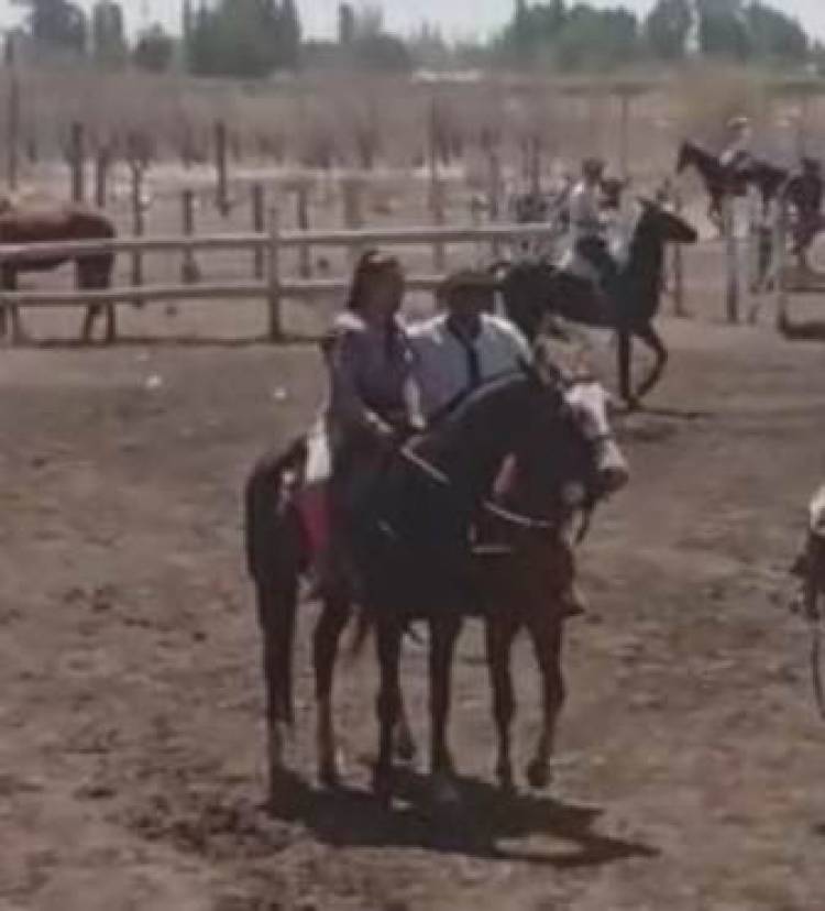 Chepes: Jinete chepeña clasificó en el Campeonato Nacional de Riendas en San Juan.