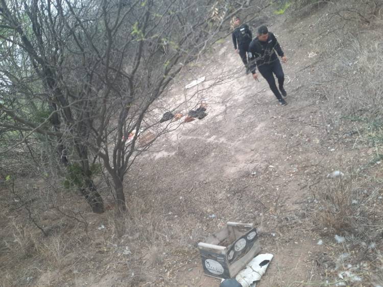 Ulapes: Delincuentes robaron gallinas de la escuela agropecuaria General Manuel Belgrano.