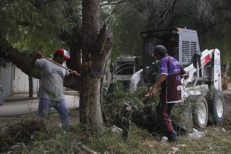 Coordinación de Vialidad municipal: La municipalidad ejecuta tareas de limpieza en calles y avenidas.