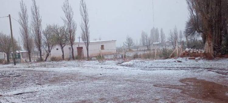 Las nevadas sorprendieron a varios puntos de la provincia.