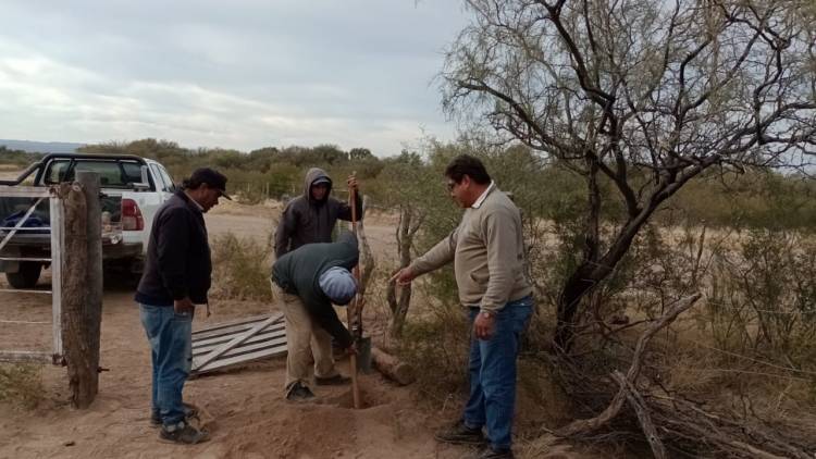 Chepes: Continúan con los trabajos en el campo municipal. 