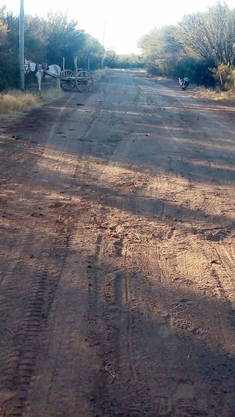 Zona Sur: Arreglo de caminos rurales.