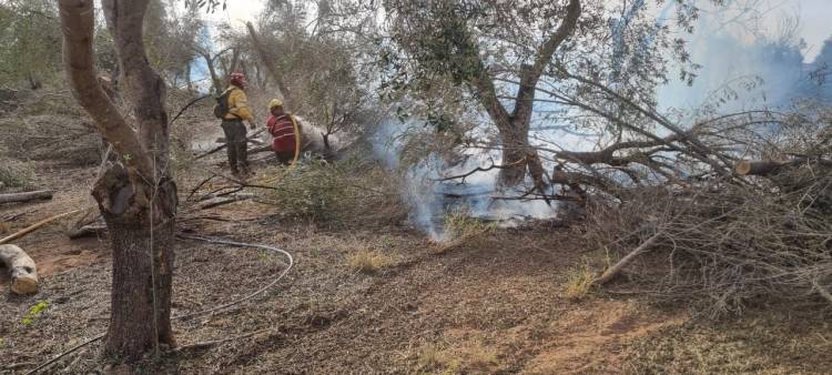 Incendio forestal en Ruta Provincial N° 25