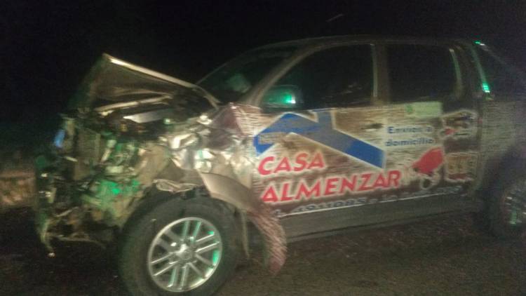 Chepes: animales en la ruta causan accidente