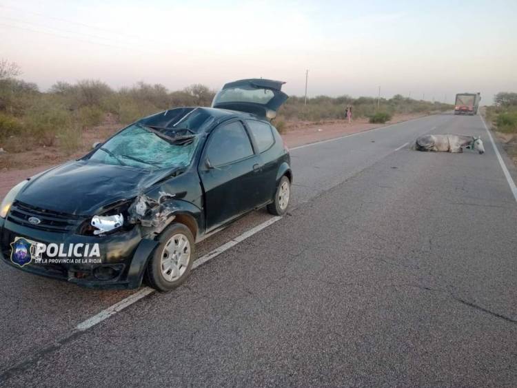 Patquia: animales sueltos provocaron siniestro vial en plena ruta