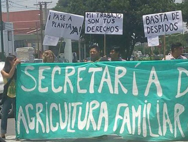 Comunicado: de trabajadores de agricultura familiar en alerta