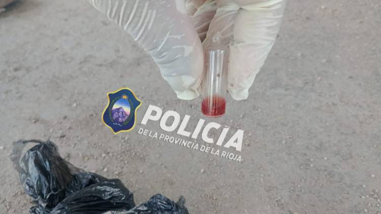 Incautaron sustancia presumiblemente ilegal (marihuana)