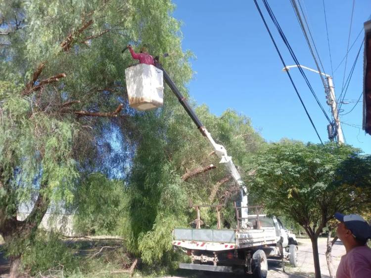 Chepes: Poda de árboles que dificultan el transito y el cableado en la vía publica