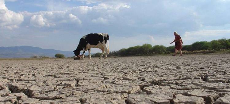 La Rioja busca crear seguro ganadero para mitigar efectos de la sequía