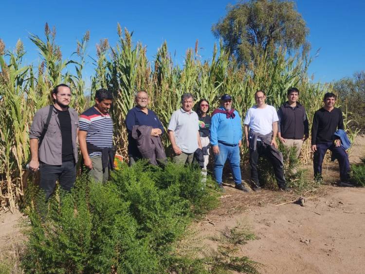 Medias Lunas Fértiles: representantes del programa “Impacto Verde” recorren campo Sol de Mayo