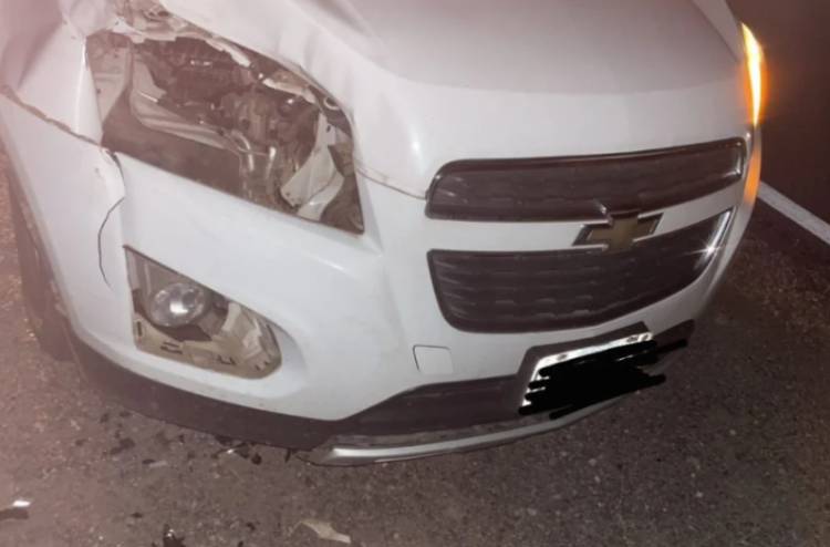 Animal suelto en la Ruta 38 provocó fuerte siniestro vial