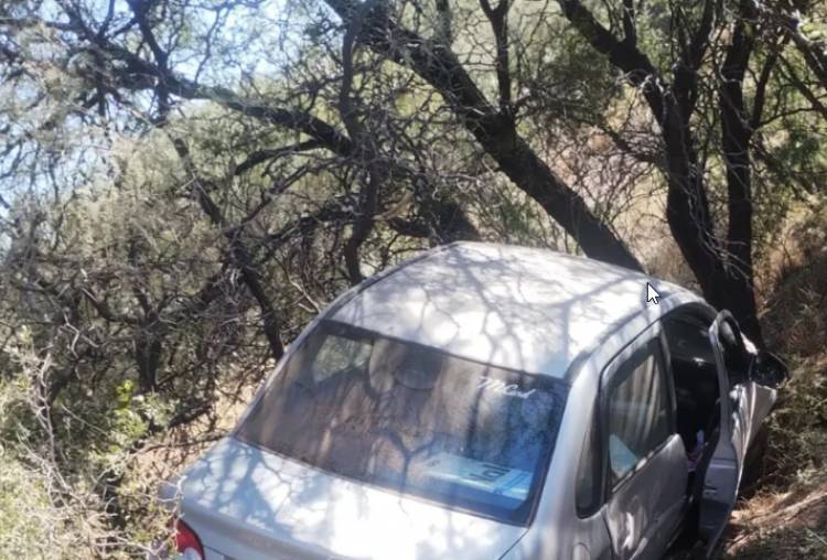Una mujer perdió el control de su auto y terminó entre los árboles