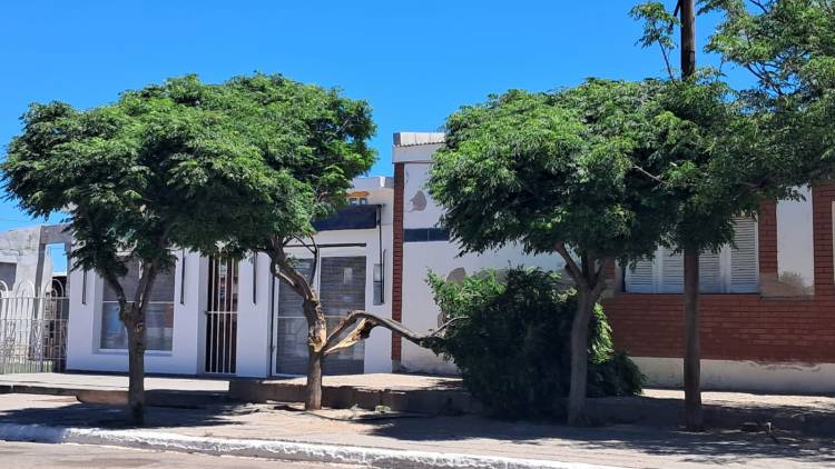 Se desplomó parte de un árbol sobre la vereda de la sede del Club Sportivo Belgrano en Chepes
