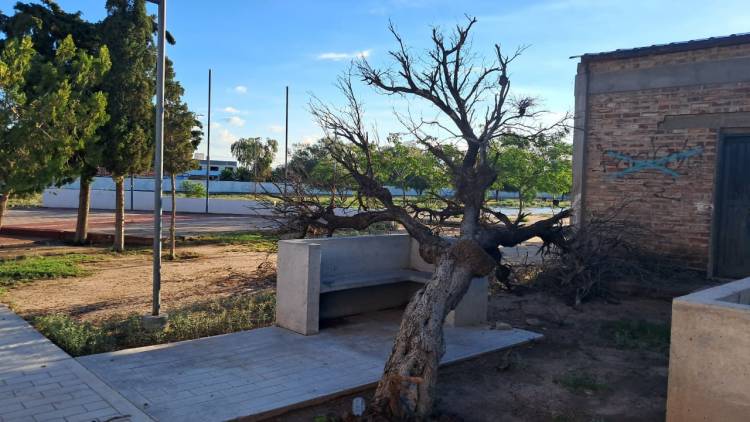 Chepes: un fuerte temporal azotó la cabecera departamental con caída de granizo