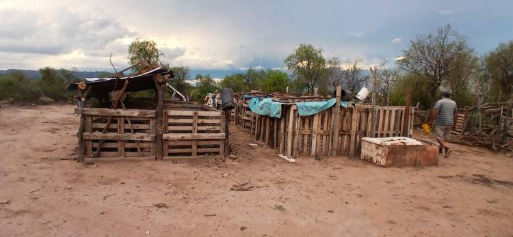 Investigan un caso de abigeato tras el robo de un porcino en Chepes