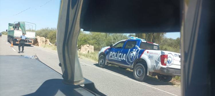Un camión volcó en la Ruta 141 tras el reventón de un neumático