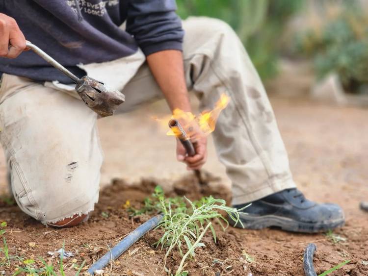 Gestión activa frente a la emergencia climática: mejoras en la red de agua en toda la ciudad