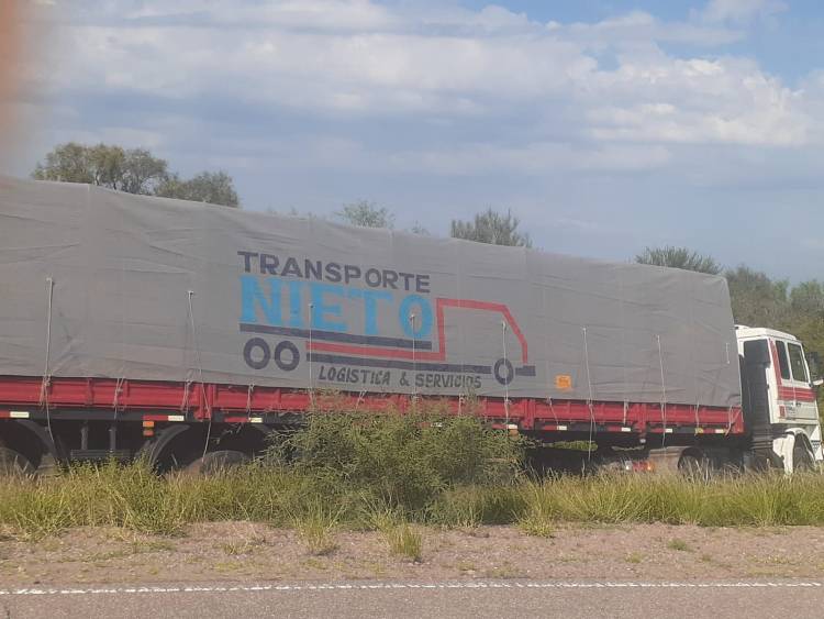 Ñoqueve: Camión sufrió un desperfecto mecánico y terminó en la banquina en Ruta Provincial 29